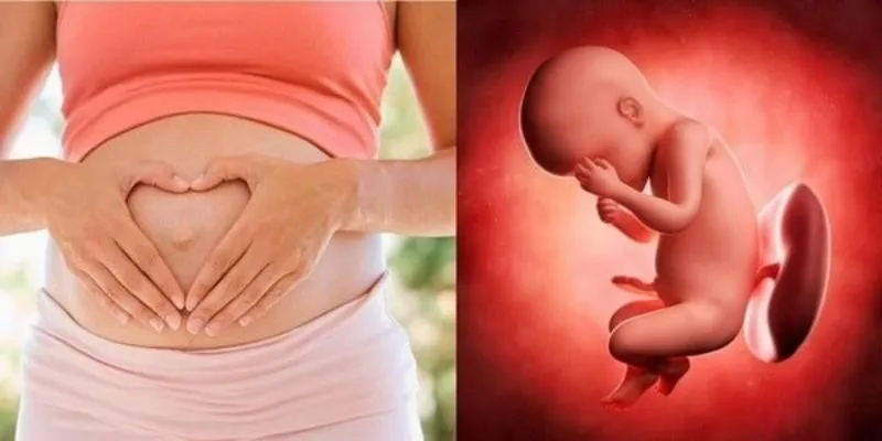 Dị dạng thai nhi