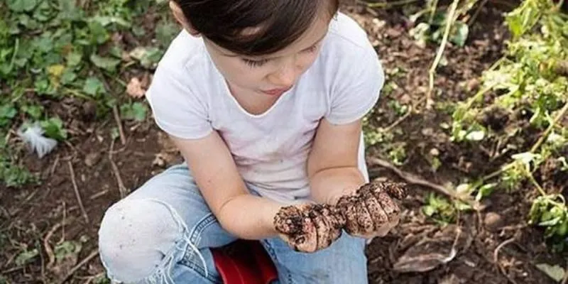 Thiểu năng trí tuệ