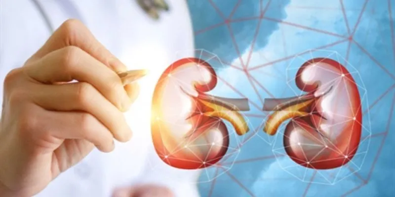 Thận hư, thận yếu