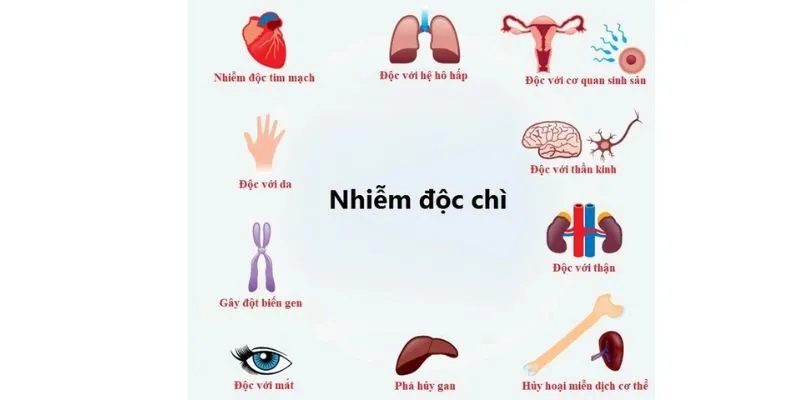 nhiễm độc chì