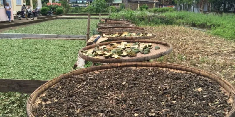 cơ thể đang nhiễm độc chì