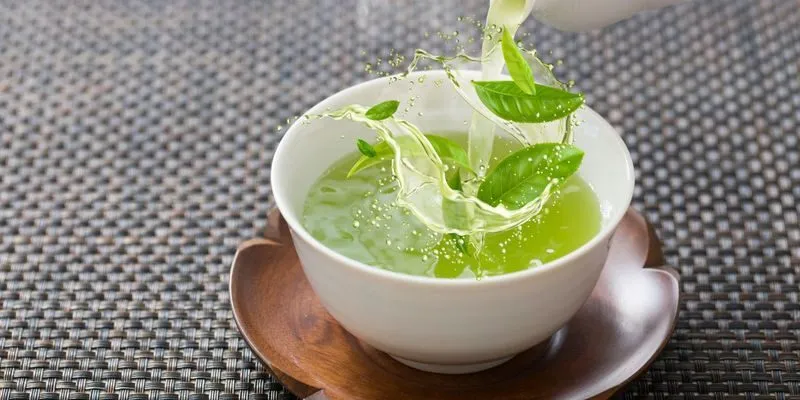 thực phẩm giúp phòng và đào thải