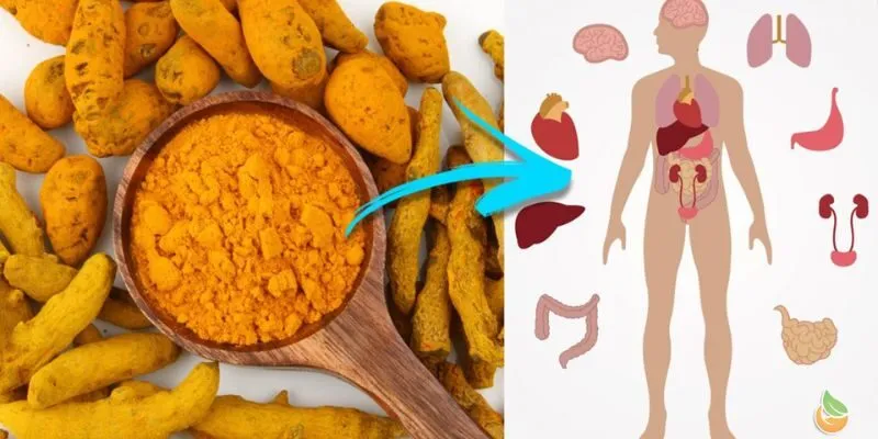 Liệu pháp chống oxy hóa