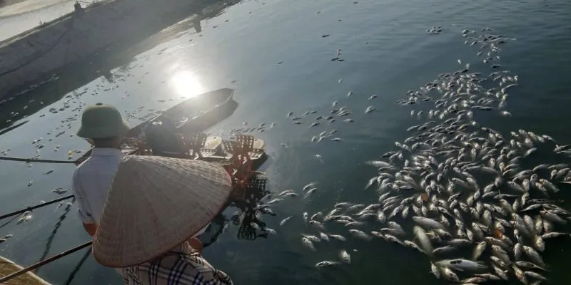 Chủ động thải độc tố chì