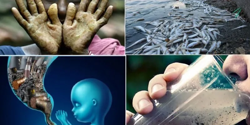 Nguy cơ nhiễm độc chì