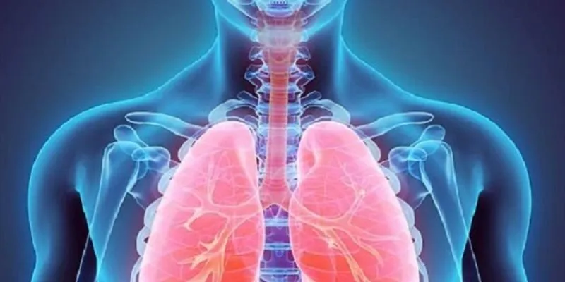 Chì đi vào cơ thể