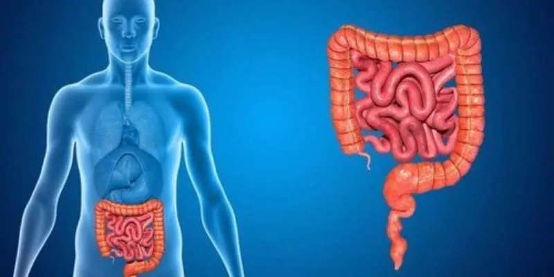 Chì đi vào cơ thể