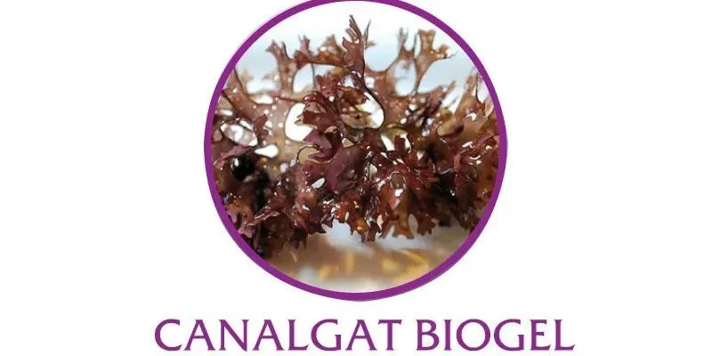 Canalgat Biogel