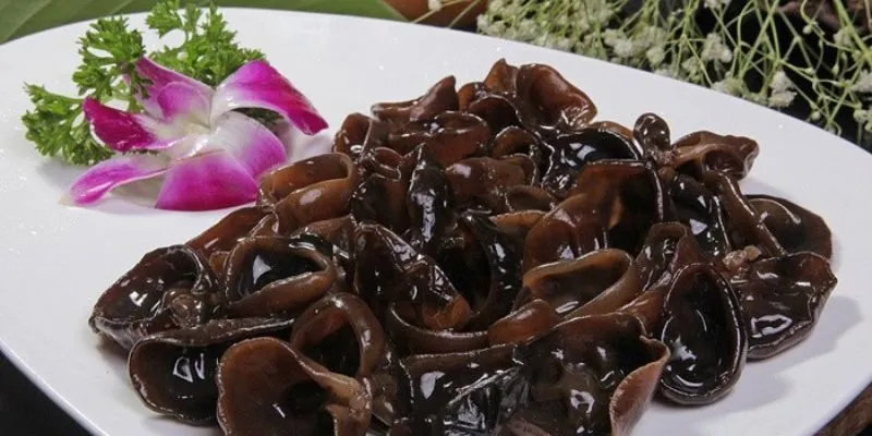 đào thải độc tố chì